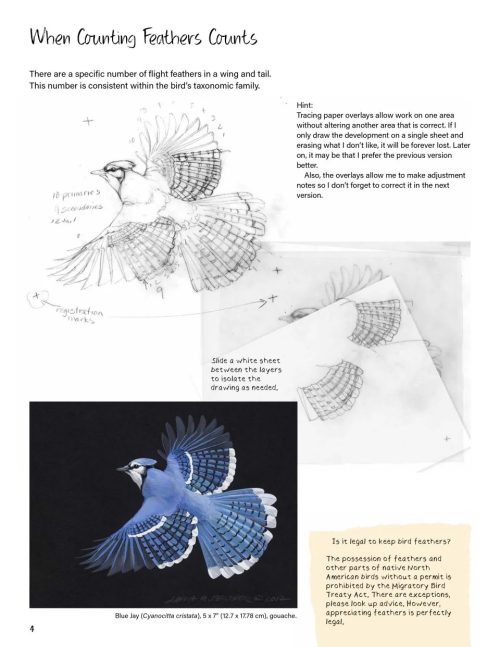 Drawing Nature - Image 3