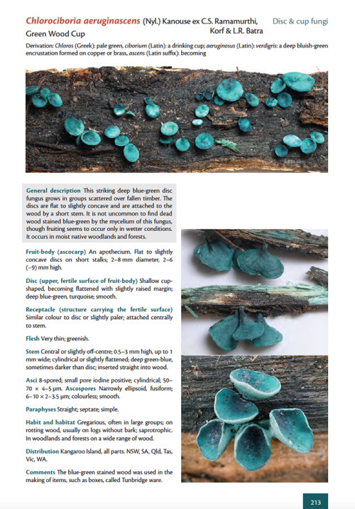 The Fungi of Kangaroo Island - And Beyond: An Illustrated Field Guide to the Larger Fungi of Southern Australia - Image 3