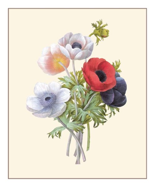Redouté: Fabulous Flowers - Image 5