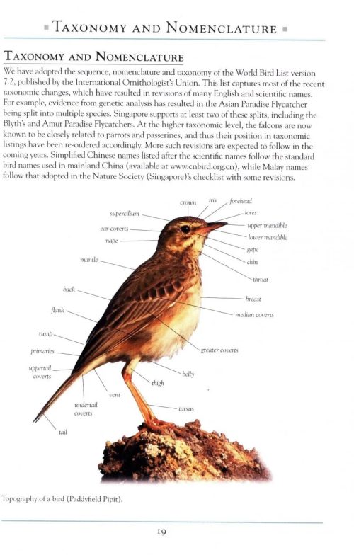 A Naturalist's Guide to the Birds of Singapore (Third Edition) - Image 2
