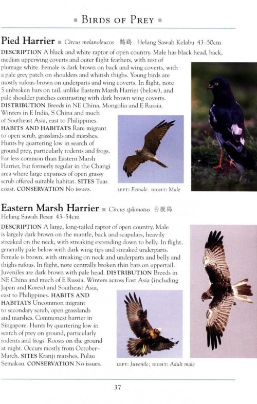 A Naturalist's Guide to the Birds of Singapore (Third Edition) - Image 4