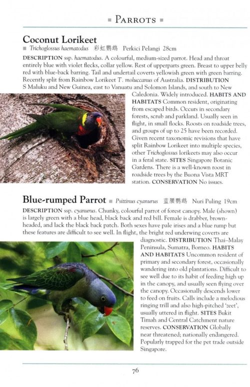 A Naturalist's Guide to the Birds of Singapore (Third Edition) - Image 3