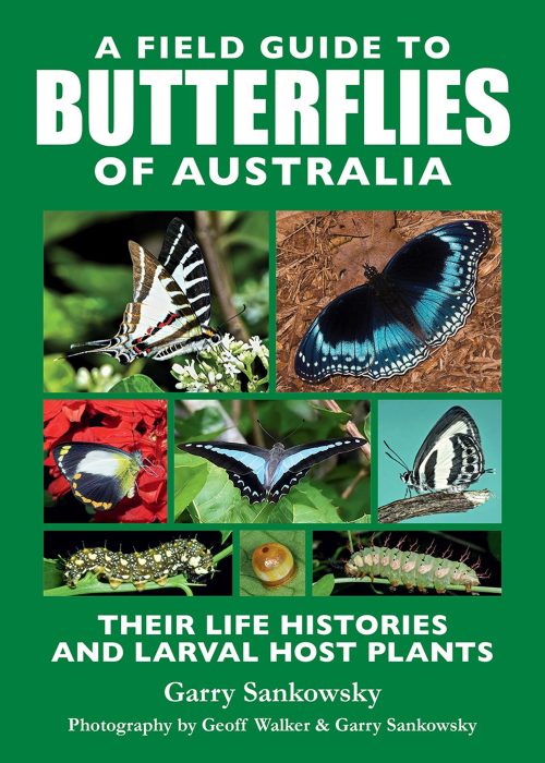A Field Guide to Butterflies of Australia: Their Life Histories and Larval Host Plants (Updated Edition)