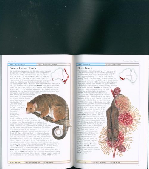 Cronin's Key Guide to Australian Mammals (Second Edition) - Image 5