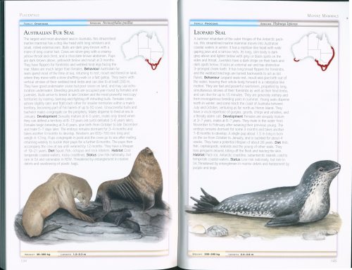 Cronin's Key Guide to Australian Mammals (Second Edition) - Image 2