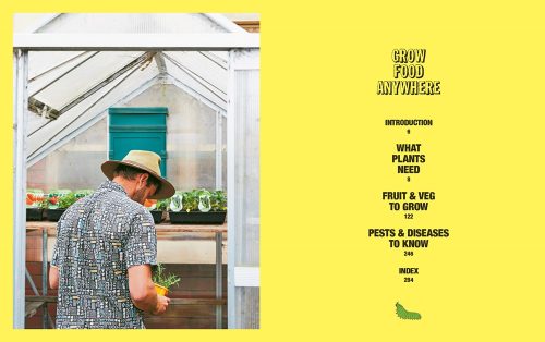 Grow Food Anywhere: The Essential Guide to Small-Space Gardening - Image 5