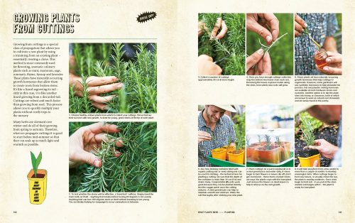 Grow Food Anywhere: The Essential Guide to Small-Space Gardening - Image 3