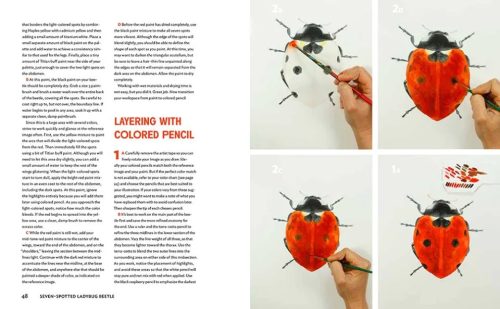 The Insect Artist: How to Observe, Draw, and Paint Butterflies, Bees, and More - Image 4