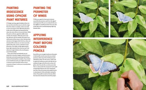 The Insect Artist: How to Observe, Draw, and Paint Butterflies, Bees, and More - Image 3