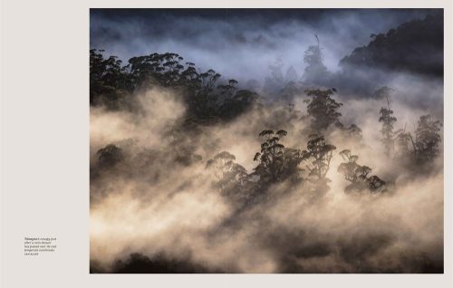 takayna/Tarkine: One of the Last Wild Places on Earth - Image 5
