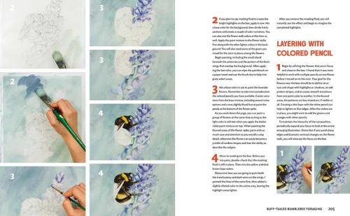 The Insect Artist: How to Observe, Draw, and Paint Butterflies, Bees, and More - Image 2