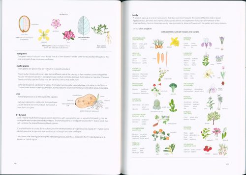 Illustrated Garden Glossary - Image 3