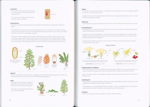 Illustrated Garden Glossary - Image 4