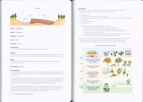Illustrated Garden Glossary - Image 5
