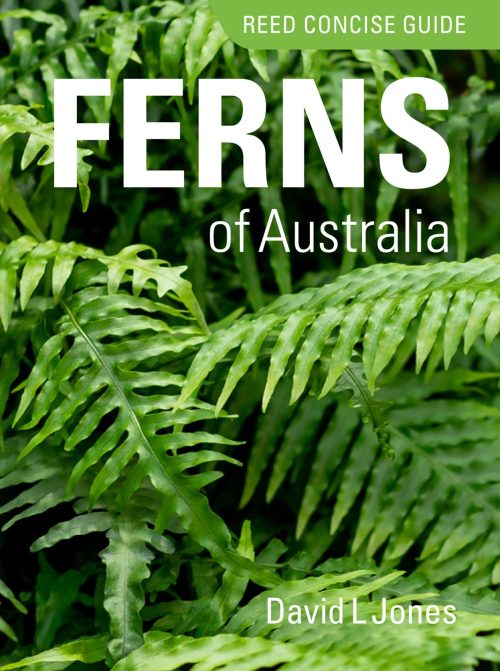 Reed Concise Guide: Ferns of Australia