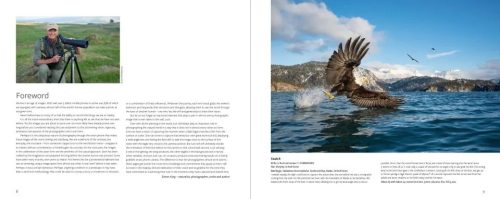 Bird Photographer of the Year, Collection 9 - Image 5