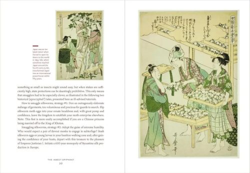 The Insect Epiphany: How Our Six-Legged Allies Shape Human Culture - Image 5