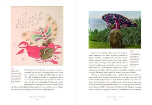 The Insect Epiphany: How Our Six-Legged Allies Shape Human Culture - Image 2