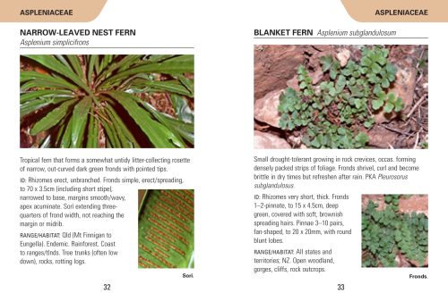Reed Concise Guide: Ferns of Australia - Image 2