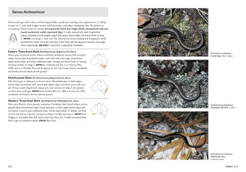 A Complete Guide To Reptiles Of Australia (Seventh Edition) - Image 7