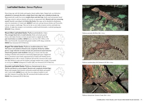 A Complete Guide To Reptiles Of Australia (Seventh Edition) - Image 4