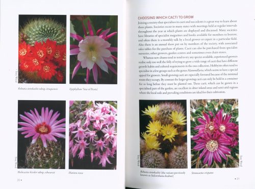 Starting out with Cacti - Image 3