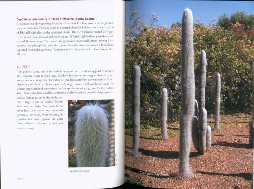 Starting out with Cacti - Image 4