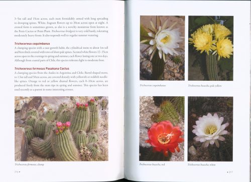 Starting out with Cacti - Image 5