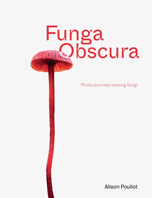 Funga Obscura:  Photo Journeys Among Fungi