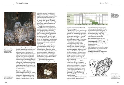 Owls of Europe: Biology, Identification and Conservation - Image 4
