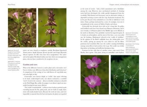 Rare Plants - Image 4