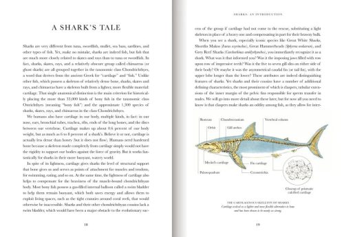 Shark: The Illustrated Biography - Image 7