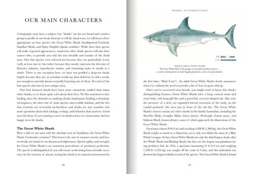 Shark: The Illustrated Biography - Image 5