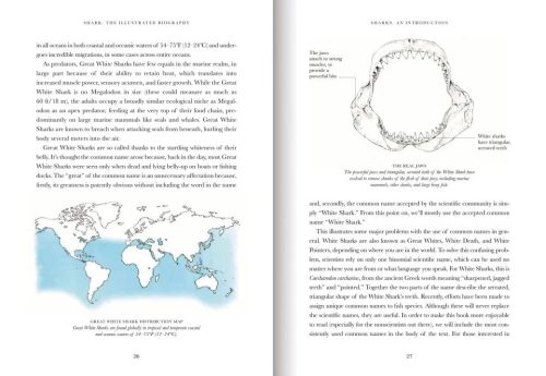 Shark: The Illustrated Biography - Image 4