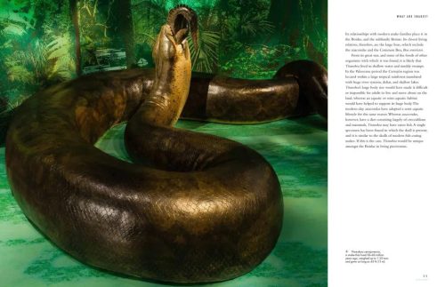 The Lives of Snakes: A Natural History of the World's Snakes - Image 5