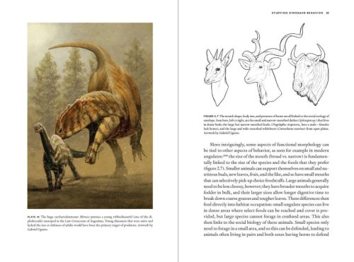Uncovering Dinosaur Behavior: What They Did and How We Know - Image 2