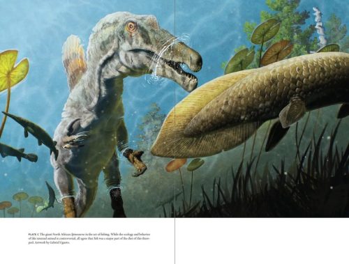 Uncovering Dinosaur Behavior: What They Did and How We Know - Image 3