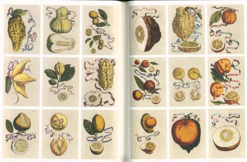 Citrus: A World History - Image 5