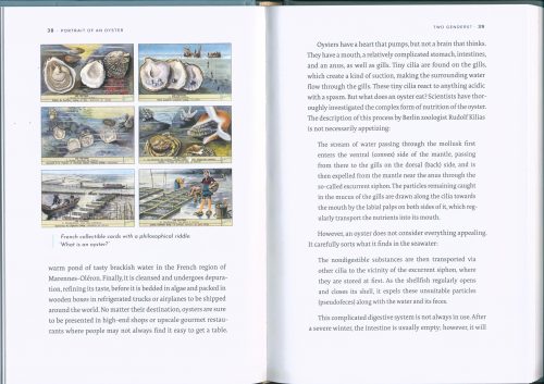 Portrait of an Oyster: A Natural History of an Epicurean Delight - Image 2