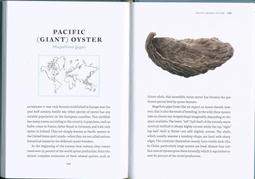 Portrait of an Oyster: A Natural History of an Epicurean Delight - Image 4