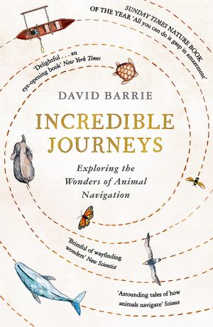 Incredible Journeys: Exploring the Wonders of Animal Navigation