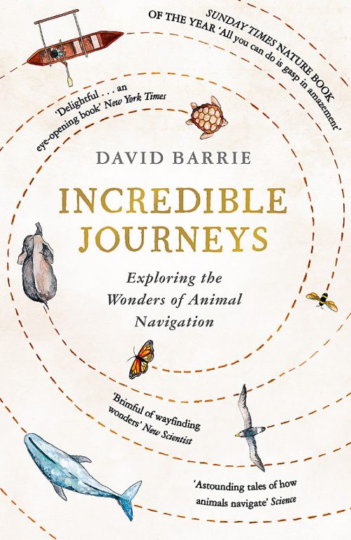 Incredible Journeys: Exploring the Wonders of Animal Navigation
