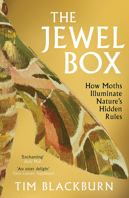 The Jewel Box: How Moths Illuminate Nature's Hidden Rules (Paperback)
