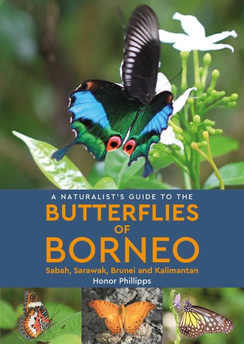 A Naturalist's Guide to the Butterflies of Borneo: Sabah, Sarawak, Brunei and Kalimantan
