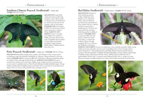 A Naturalist's Guide to the Butterflies of Hong Kong - Image 4