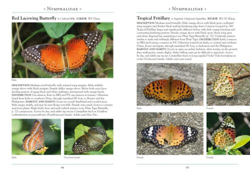 A Naturalist's Guide to the Butterflies of Hong Kong - Image 3