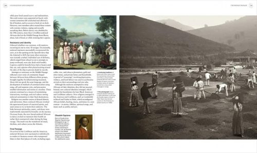 Migrations: A History of Where We All Came From - Image 4