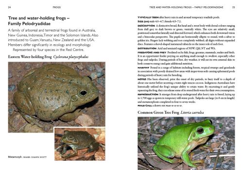 A Field Guide to Reptiles and Frogs of the Red Centre - Image 5