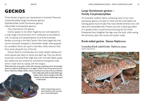 A Field Guide to Reptiles and Frogs of the Red Centre - Image 4