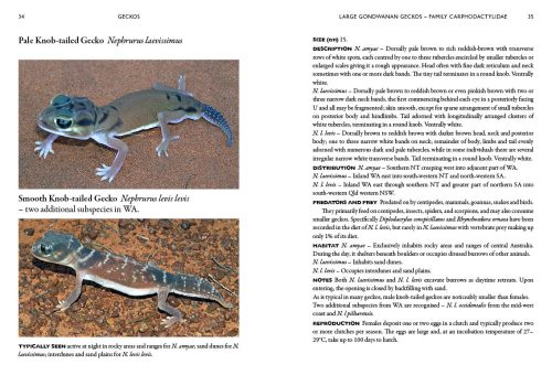 A Field Guide to Reptiles and Frogs of the Red Centre - Image 3